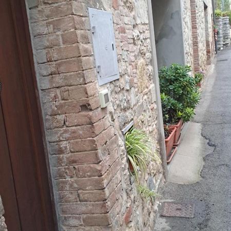 "La Casa Di Maria Luce" Con Terrazza Panoramica Daire Gaiole in Chianti Dış mekan fotoğraf