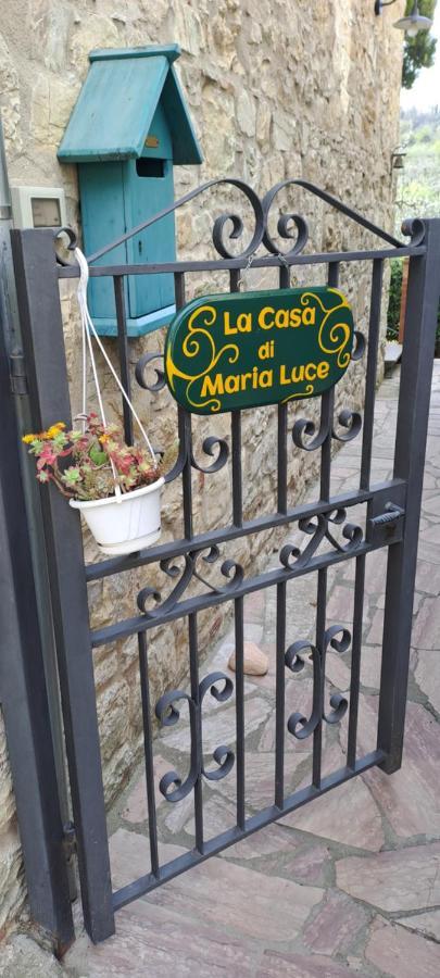 "La Casa Di Maria Luce" Con Terrazza Panoramica Daire Gaiole in Chianti Dış mekan fotoğraf